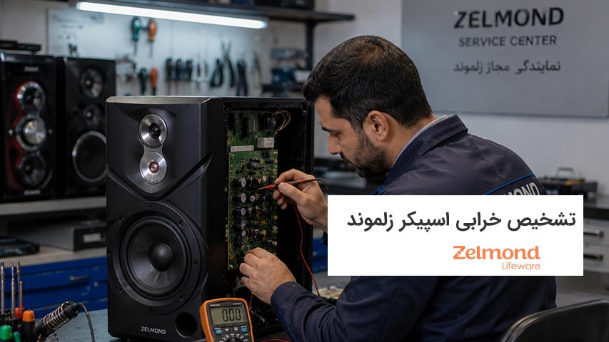 تشخیص خرابی اسپیکر زلموند